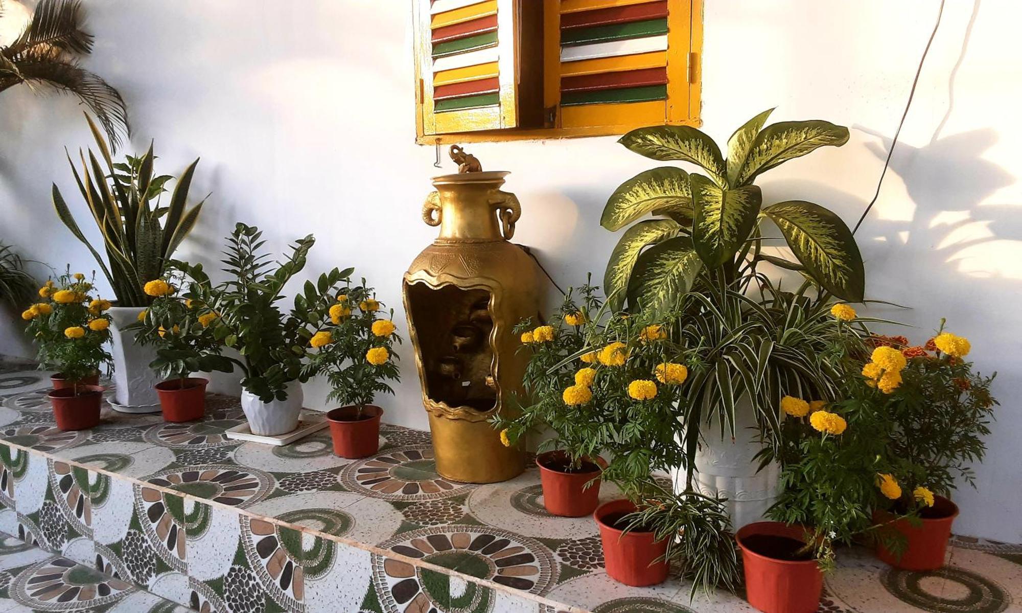 Bonnie Homestay Mui Ne Phan Thiết Exteriér fotografie